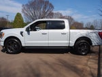 2022 F-150 Thumbnail 4