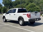 2022 F-150 Thumbnail 5