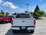 2023 F-150 Thumbnail 4