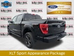 2023 F-150 Thumbnail 6