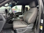2023 F-150 Thumbnail 12