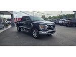 2023 F-150 Thumbnail 5