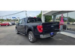 2023 F-150 Thumbnail 9