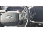 2023 F-150 Thumbnail 16