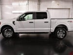 2023 F-150 Thumbnail 4