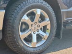 2023 F-150 Thumbnail 22