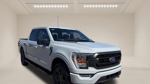 Preowned 2023 Ford F-150 XL for Sale