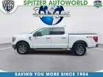 2023 F-150 Thumbnail 6