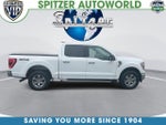 2023 F-150 Thumbnail 10