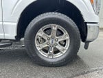 2023 F-150 Thumbnail 20
