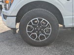2023 F-150 Thumbnail 10
