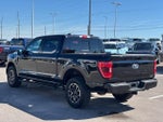 2023 F-150 Thumbnail 5
