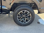 2023 F-150 Thumbnail 9