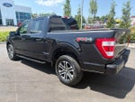 2023 F-150 Thumbnail 4