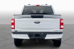 2023 F-150 Thumbnail 4