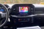 2023 F-150 Thumbnail 6