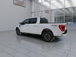 2023 F-150 Thumbnail 6