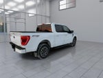 2023 F-150 Thumbnail 8