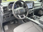 2023 F-150 Thumbnail 11
