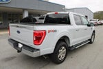 2023 F-150 Thumbnail 3