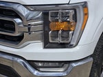 2023 F-150 Thumbnail 4