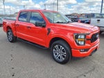 2023 F-150 Thumbnail 8