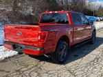 2023 F-150 Thumbnail 8