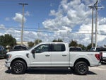 2023 F-150 Thumbnail 7
