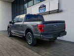 2023 F-150 Thumbnail 5