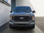2023 F-150 Thumbnail 8
