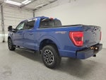 2023 F-150 Thumbnail 4