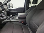 2023 F-150 Thumbnail 22