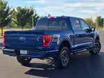 2023 F-150 Thumbnail 13