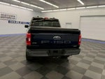 2023 F-150 Thumbnail 7