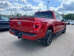 2023 F-150 Thumbnail 4