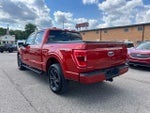 2023 F-150 Thumbnail 6