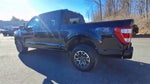 2023 F-150 Thumbnail 6