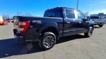 2023 F-150 Thumbnail 8