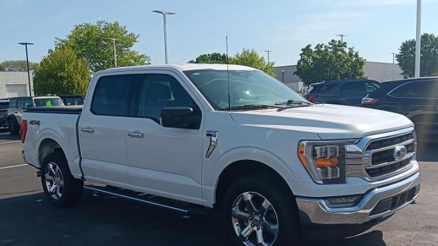 Preowned 2023 Ford F-150 XL for Sale