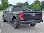 2023 F-150 Thumbnail 3