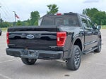 2023 F-150 Thumbnail 4