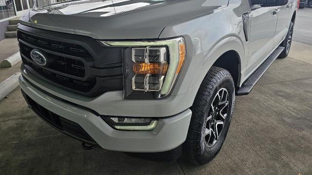 Preowned 2023 Ford F-150 XLT for Sale