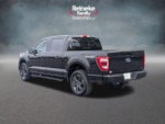 2023 F-150 Thumbnail 8