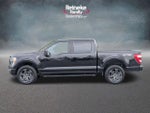 2023 F-150 Thumbnail 9
