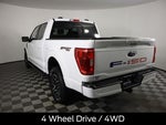2023 F-150 Thumbnail 8