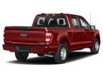 2023 F-150 Thumbnail 2