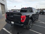 2023 F-150 Thumbnail 4