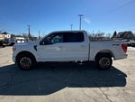 2023 F-150 Thumbnail 6