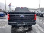 2023 F-150 Thumbnail 6