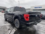 2023 F-150 Thumbnail 7